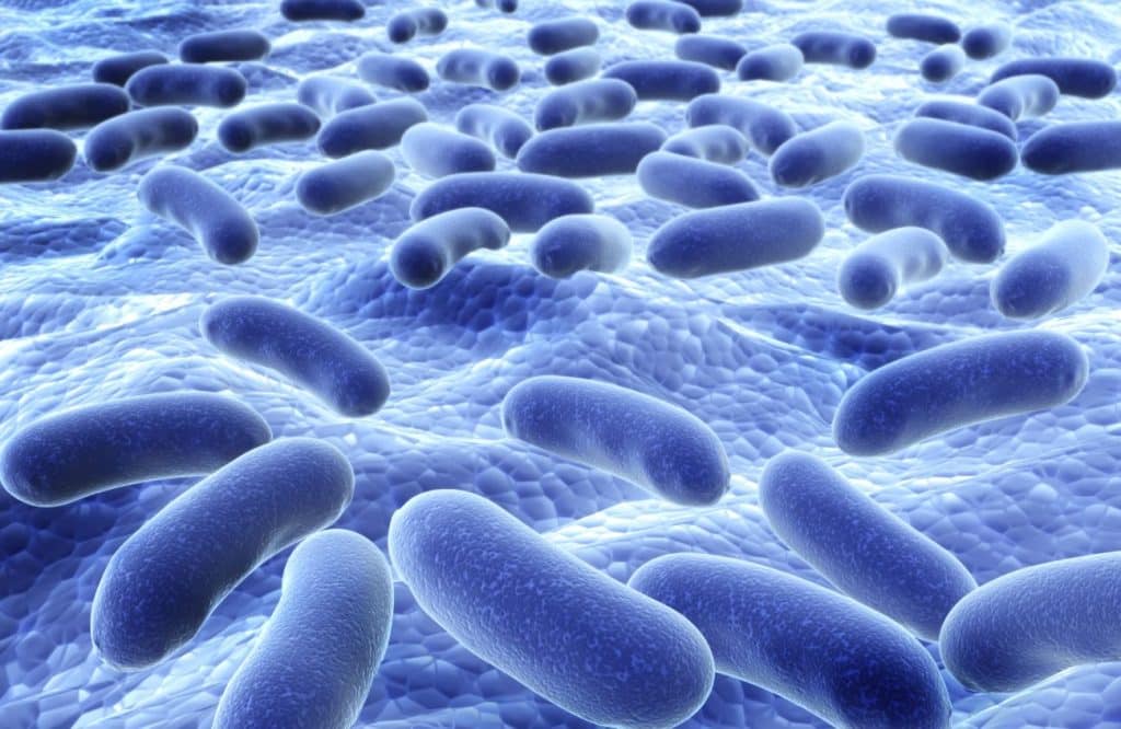 legionella control in healthcare facilities