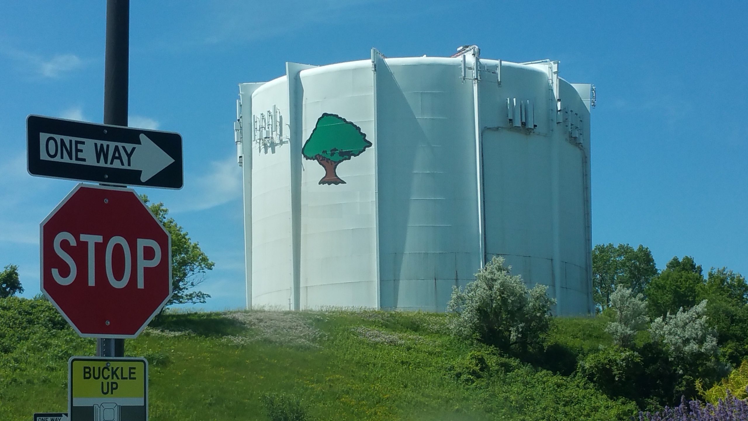 Municipal Water Purveyors are tasked with water safety and code compliance.